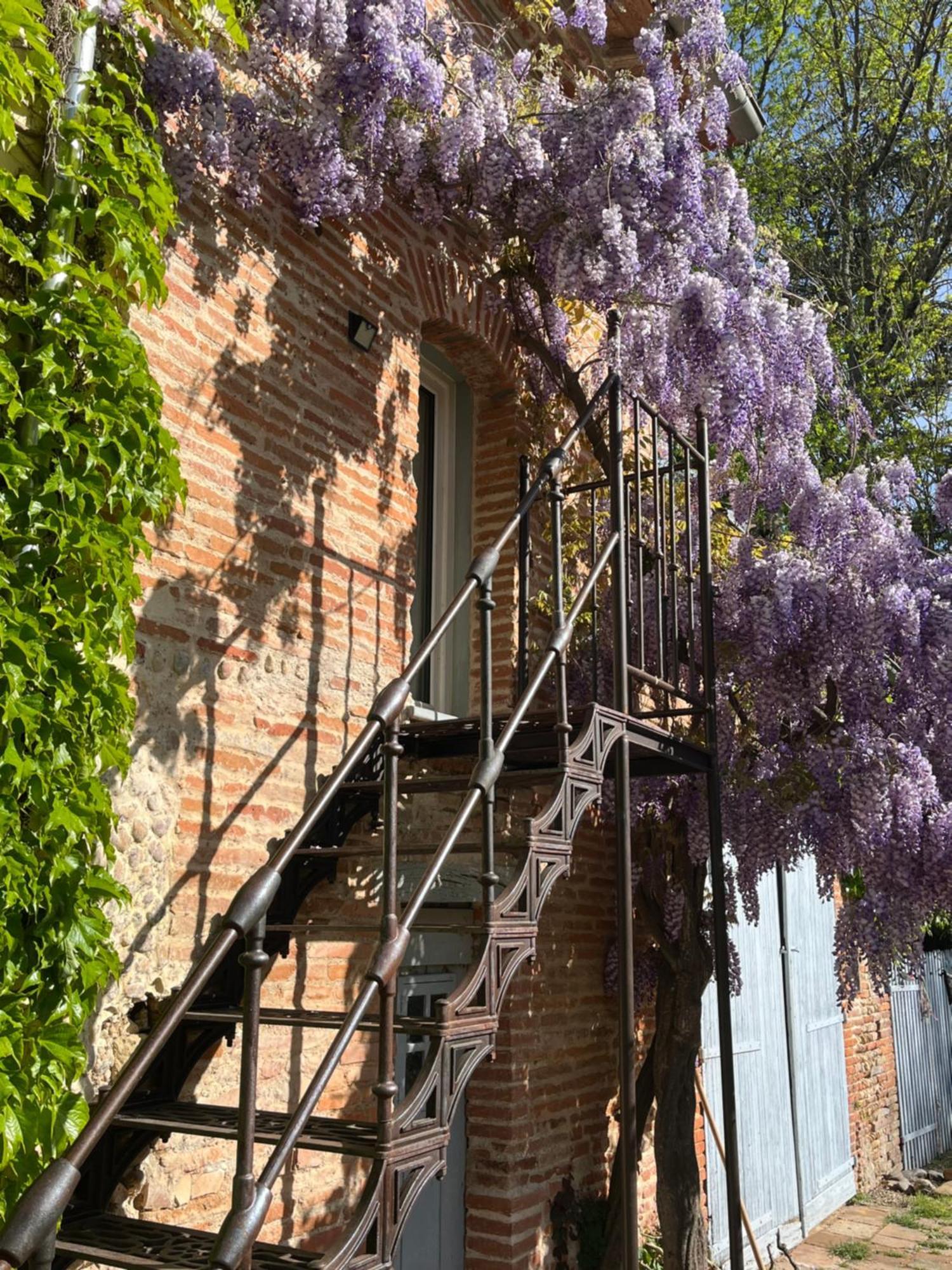 Villa Toscane - Atelier d'Artistes et B&B à 20 mn de Toulouse Azas Exterior foto